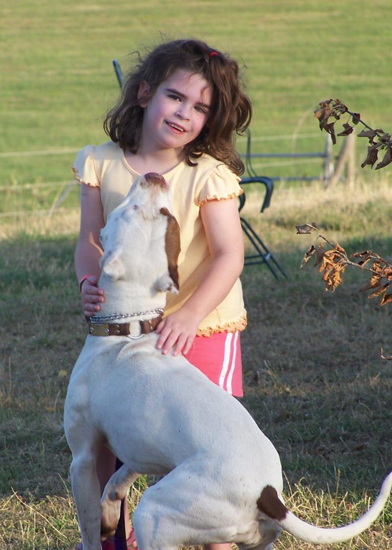 Well Balanced Dogs Training, Rehabilitation & Education